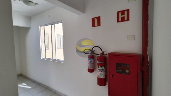 Apartamento à venda com 3 quartos, 55m² - Foto 8