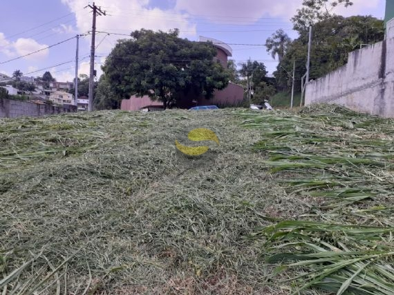 Terreno à venda, 880m² - Foto 7