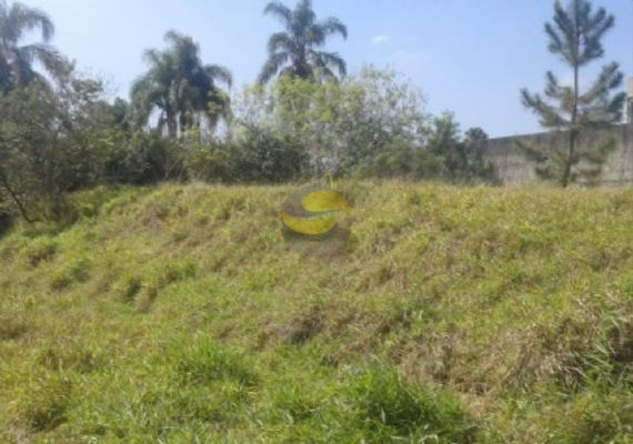 Terreno à venda, 10000m² - Foto 7