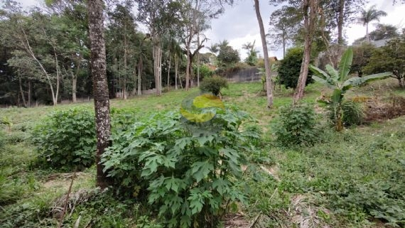 Terreno à venda, 1000m² - Foto 5