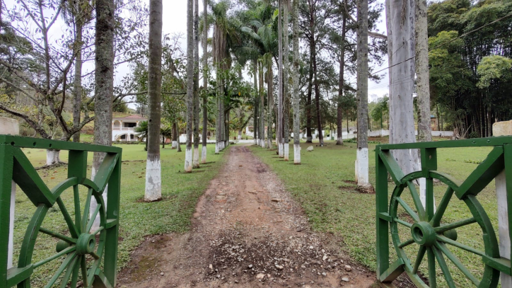 Fazenda à venda com 3 quartos, 315000m² - Foto 4