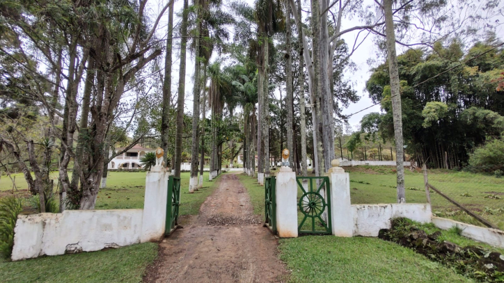 Fazenda à venda com 3 quartos, 315000m² - Foto 5