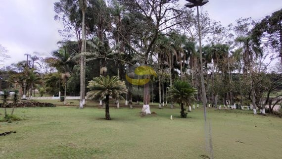 Fazenda à venda com 3 quartos, 315000m² - Foto 12