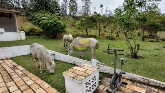 Fazenda à venda com 3 quartos, 315000m² - Foto 14