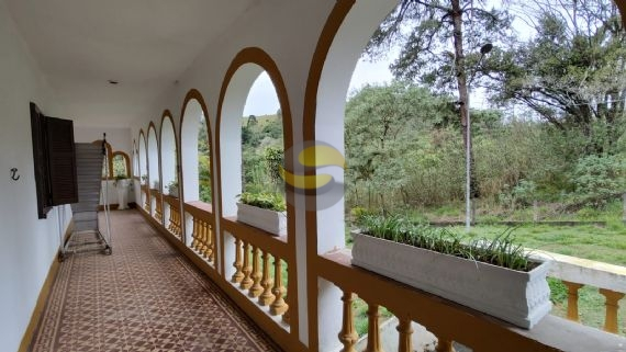 Fazenda à venda com 3 quartos, 315000m² - Foto 15