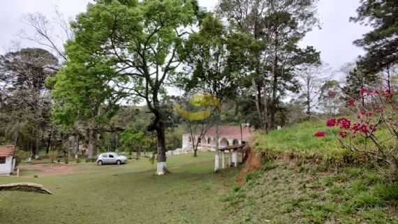 Fazenda à venda com 3 quartos, 315000m² - Foto 20