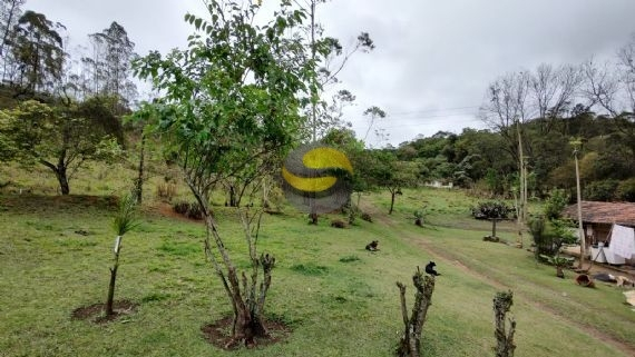 Fazenda à venda com 3 quartos, 315000m² - Foto 41