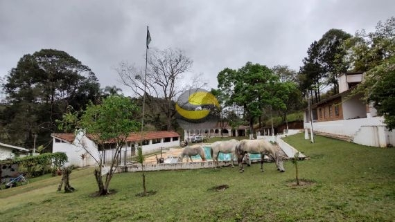 Fazenda à venda com 3 quartos, 315000m² - Foto 42