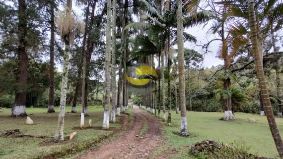 Fazenda à venda com 3 quartos, 315000m² - Foto 51