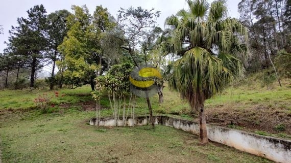 Fazenda à venda com 3 quartos, 315000m² - Foto 58