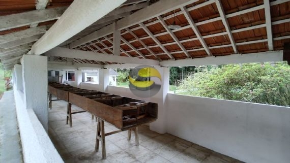 Fazenda à venda com 3 quartos, 315000m² - Foto 59