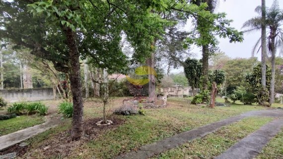 Fazenda à venda com 3 quartos, 250m² - Foto 6