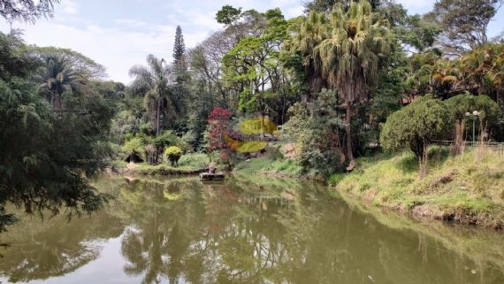 Terreno à venda, 28000m² - Foto 8