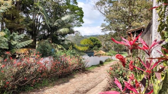 Casa de Condomínio para alugar com 3 quartos, 480m² - Foto 50