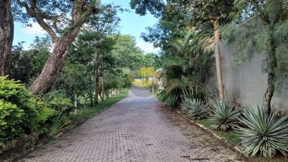 Terreno à venda, 1500m² - Foto 2