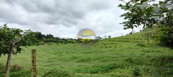 Terreno à venda, 30000m² - Foto 1