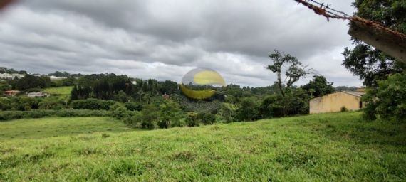 Terreno à venda, 30000m² - Foto 5