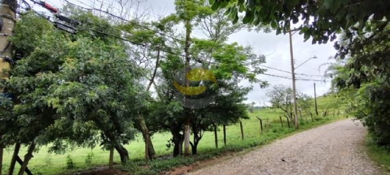 Terreno à venda, 30000m² - Foto 10