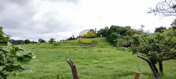 Terreno à venda, 30000m² - Foto 12