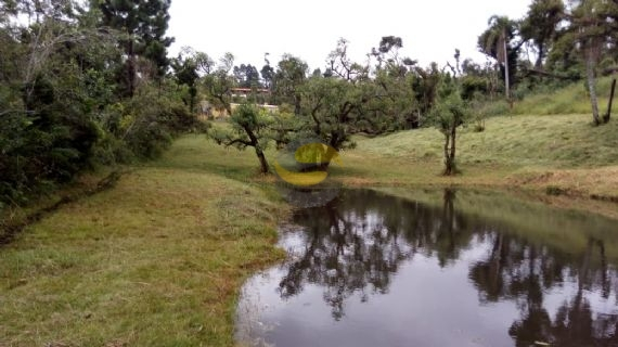 Terreno à venda com 2 quartos, 21250m² - Foto 6