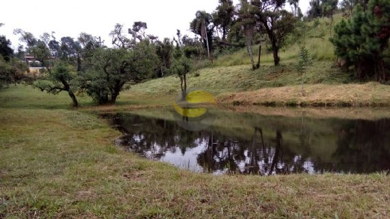 Terreno à venda com 2 quartos, 21250m² - Foto 7