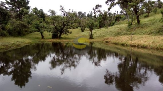 Terreno à venda com 2 quartos, 21250m² - Foto 8