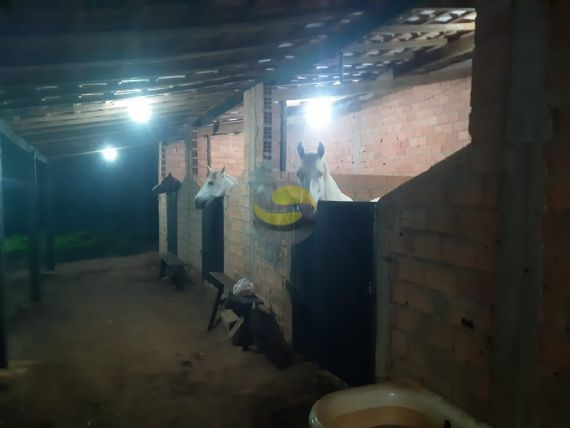 Terreno à venda com 2 quartos, 21250m² - Foto 21