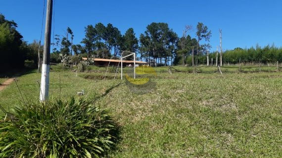 Terreno à venda com 2 quartos, 21250m² - Foto 31