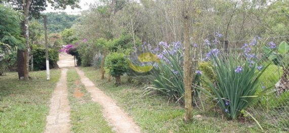 Terreno à venda com 2 quartos, 21250m² - Foto 36