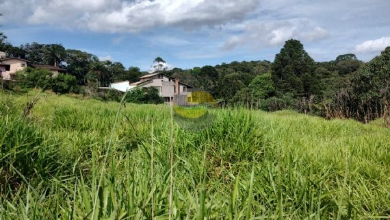 Terreno à venda, 1000m² - Foto 4