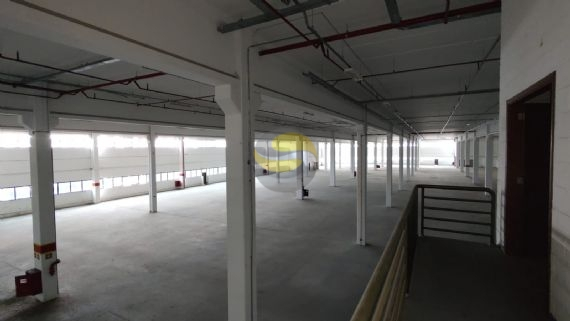 Depósito-Galpão-Armazém à venda, 35178m² - Foto 55