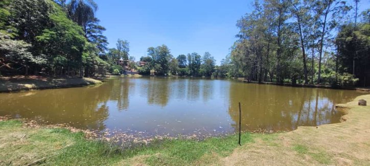 Terreno à venda, 500m² - Foto 1